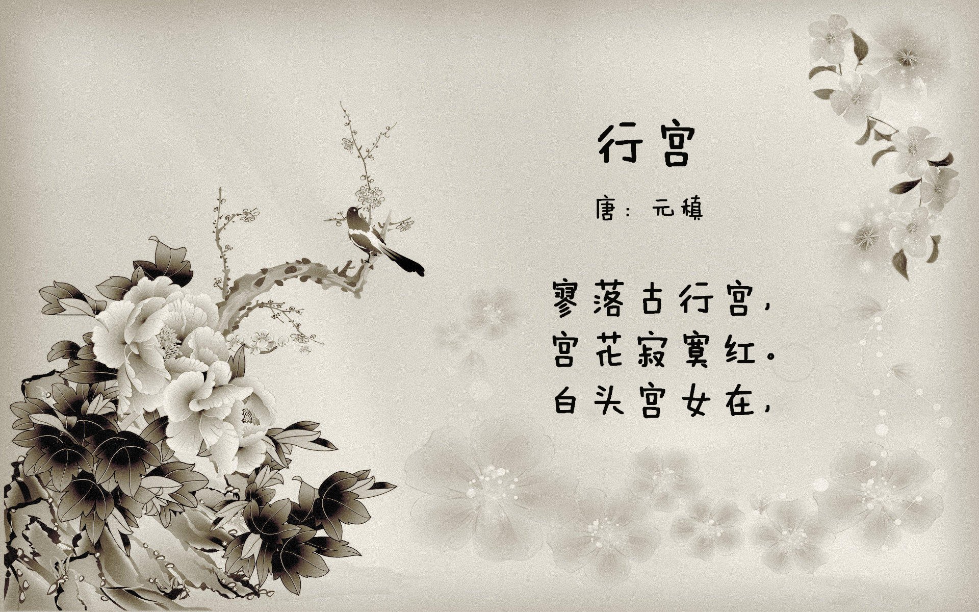 开云网页版登录入口-CS2 Vitality连胜不止 成为夺冠热门，csgo20连胜