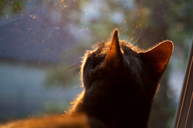 kaiyun体育综合-《绝地求生》全球邀请赛与《堡垒之夜》世界杯的精彩对比，2021年绝地求生全球邀请赛赛制