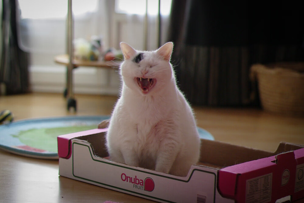 赛季风云:提前预测季后赛的热点焦点,季后赛改革