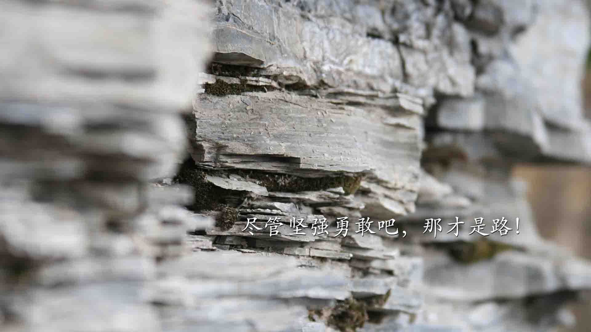 Kaiyun官方登录入口-世界马拉松大满贯东京站，埃塞俄比亚选手强势夺冠，2021东京马拉松比赛