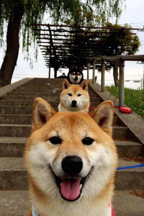 东亚顶尖俱乐部联赛掀起激烈角逐，东亚超级联赛百度百科