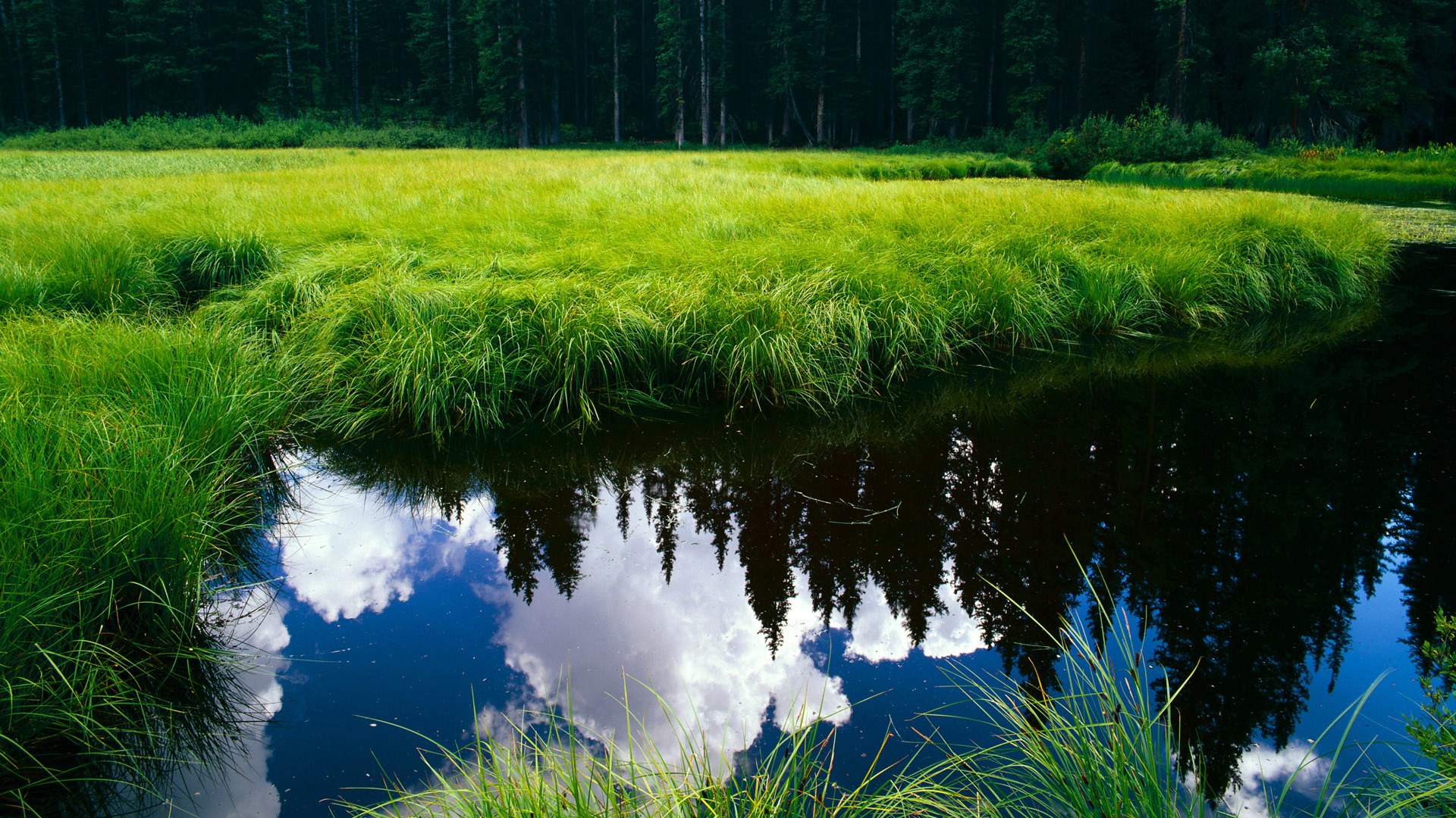 国足边锋发挥关键作用，突破能力增强，国足左边锋