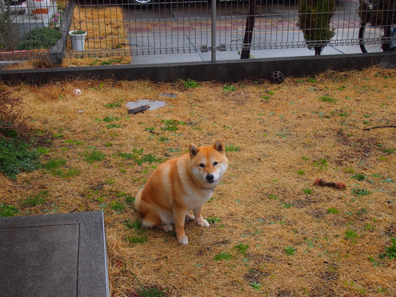 kaiyun网站-库兹马诺维奇在巴黎奥运会手球比赛中展现出出色的指挥能力，库兹马球技