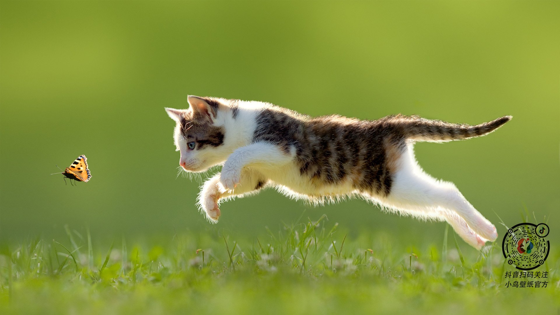 广州队球员在比赛中表现稳定,取得胜利,广州队球员在比赛中表现稳定,取得胜利的是谁