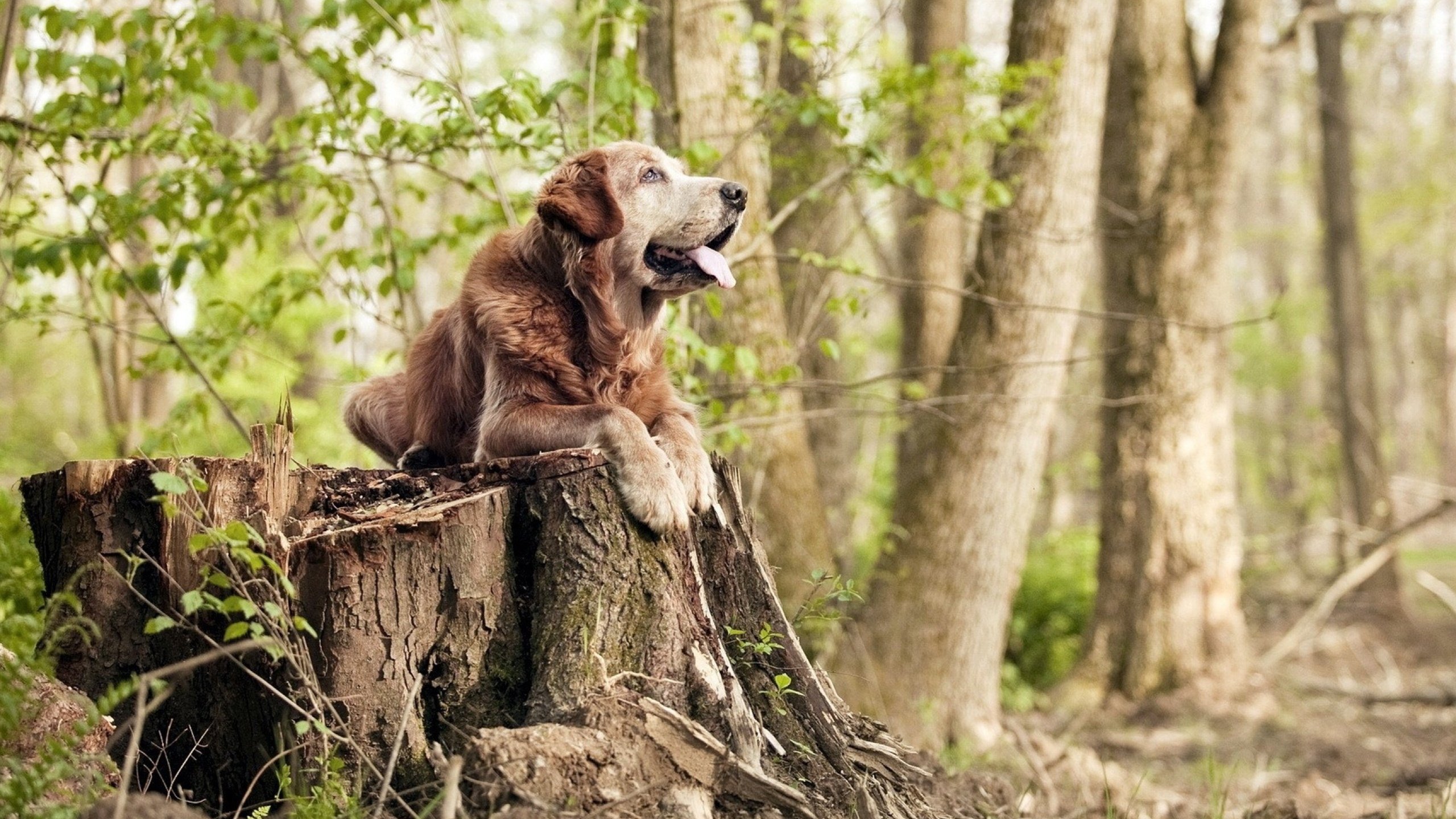 开云中国大陆-电竞城市推动区域经济多元发展，电竞在城市发展中的盈利模式
