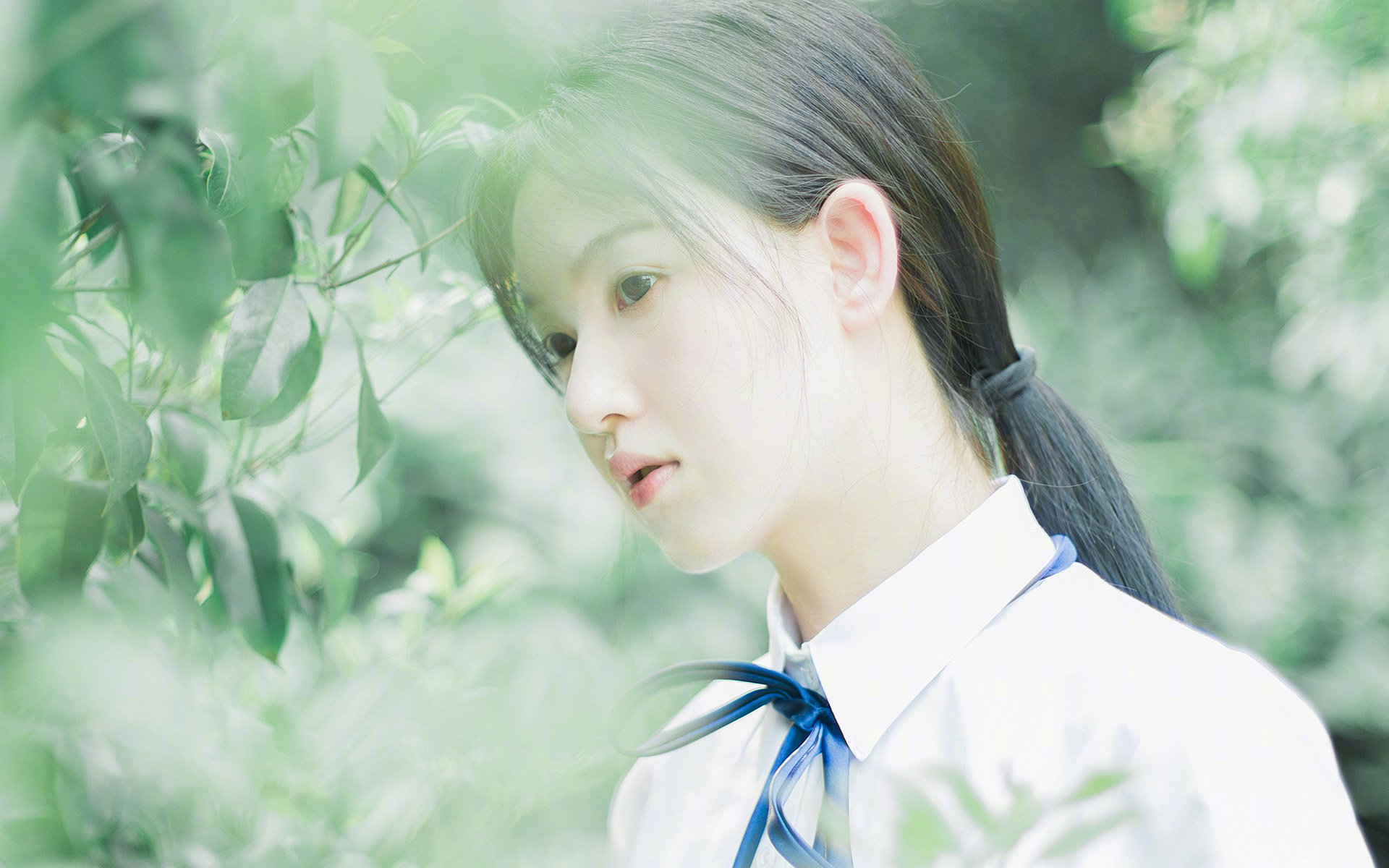 皇家霍芬海姆vs汉堡_ 德乙联赛竞争,霍芬海姆拿过德甲冠军吗