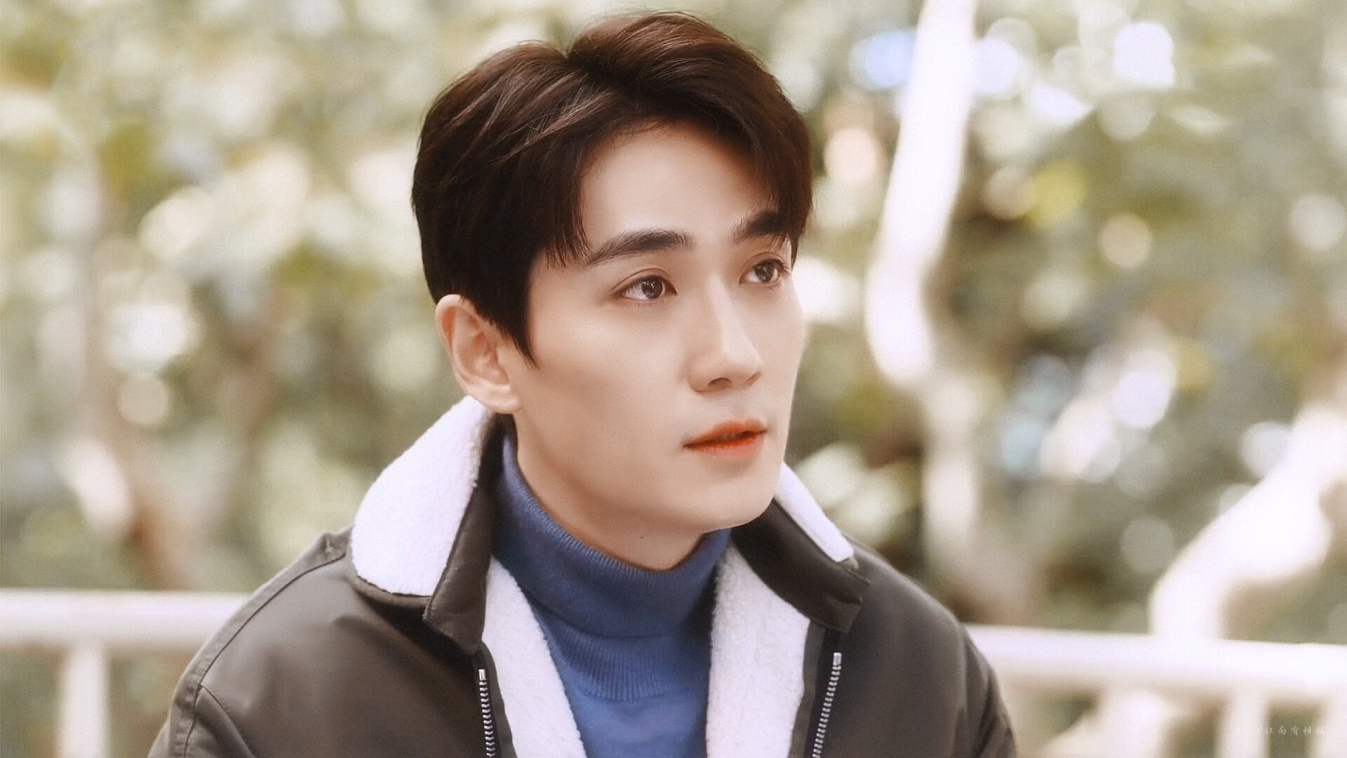 阿联酋球队签下国际新星,阿联酋球迷