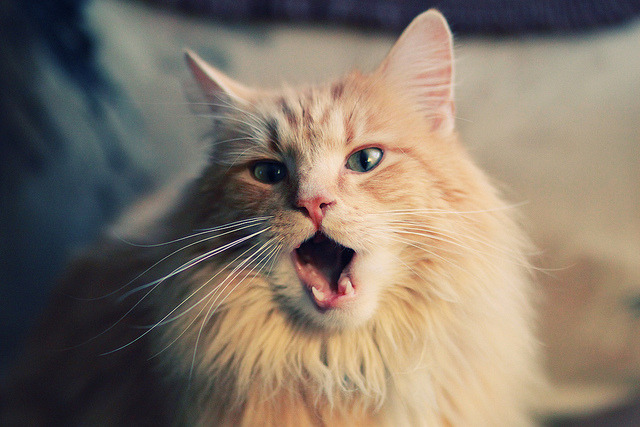 kaiyun登录入口-体育器材供应链智能化建设方案研究，体育设备器材供应商