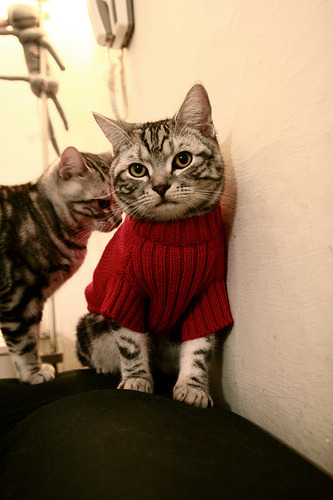 前沿科技:5G、云计算助力全球直播,前沿科技app