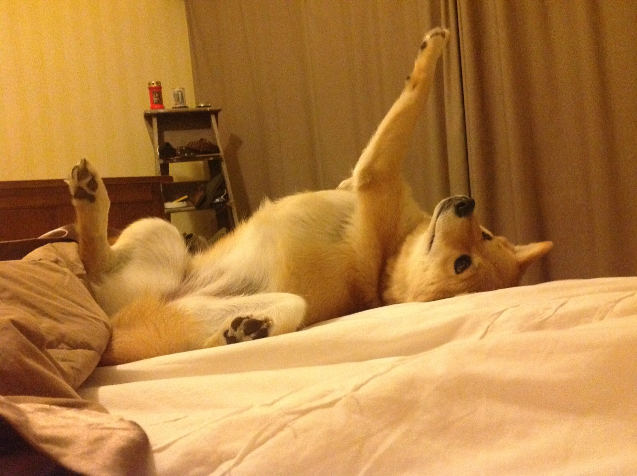 智能体育设备维护管理与技术研究,智能体育装备