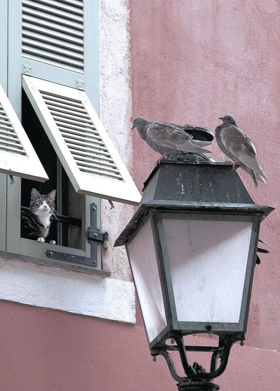 中小学体育课时增加实施效果显现,中小学体育课时长