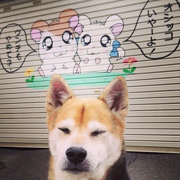 kaiyun体育app-中超联赛推动智能音频导览系统优化球迷现场体验