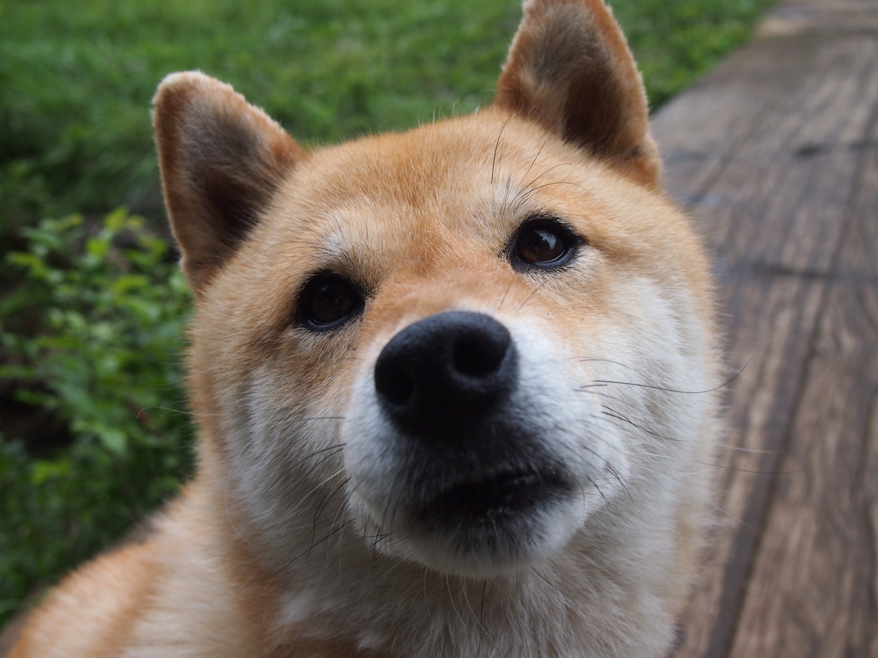 开云平台-中超俱乐部开设球迷摄影培训班拓展内容创作群体，中超球员照片