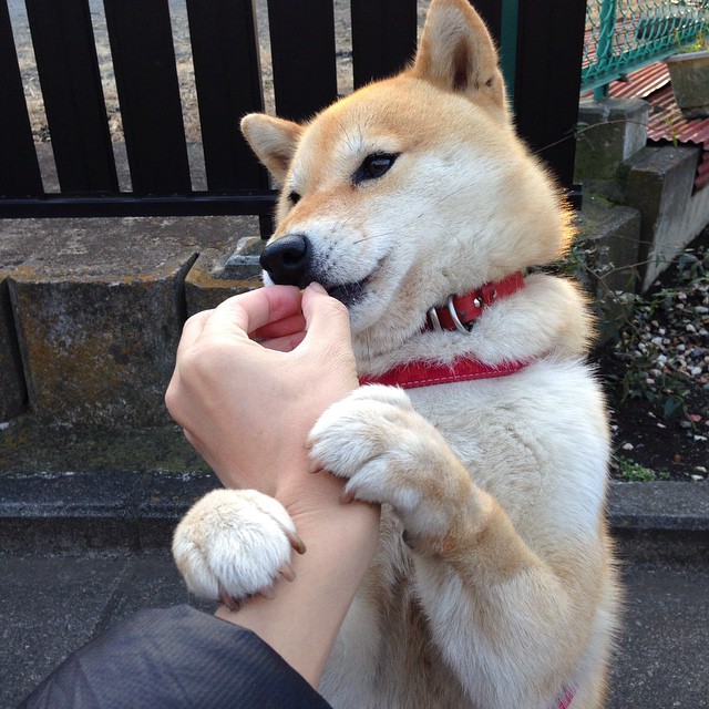 Kaiyun(中国)开云-克莱尔在200米自由泳中展现节奏感，克莱尔跳高