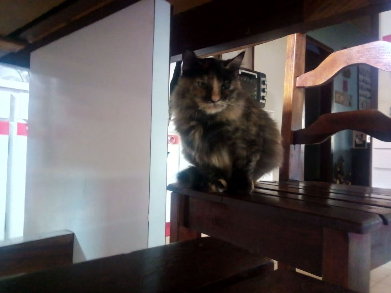 湖人队主场赢得胜利NBA季后赛，湖人主场时隔8年再迎季后赛