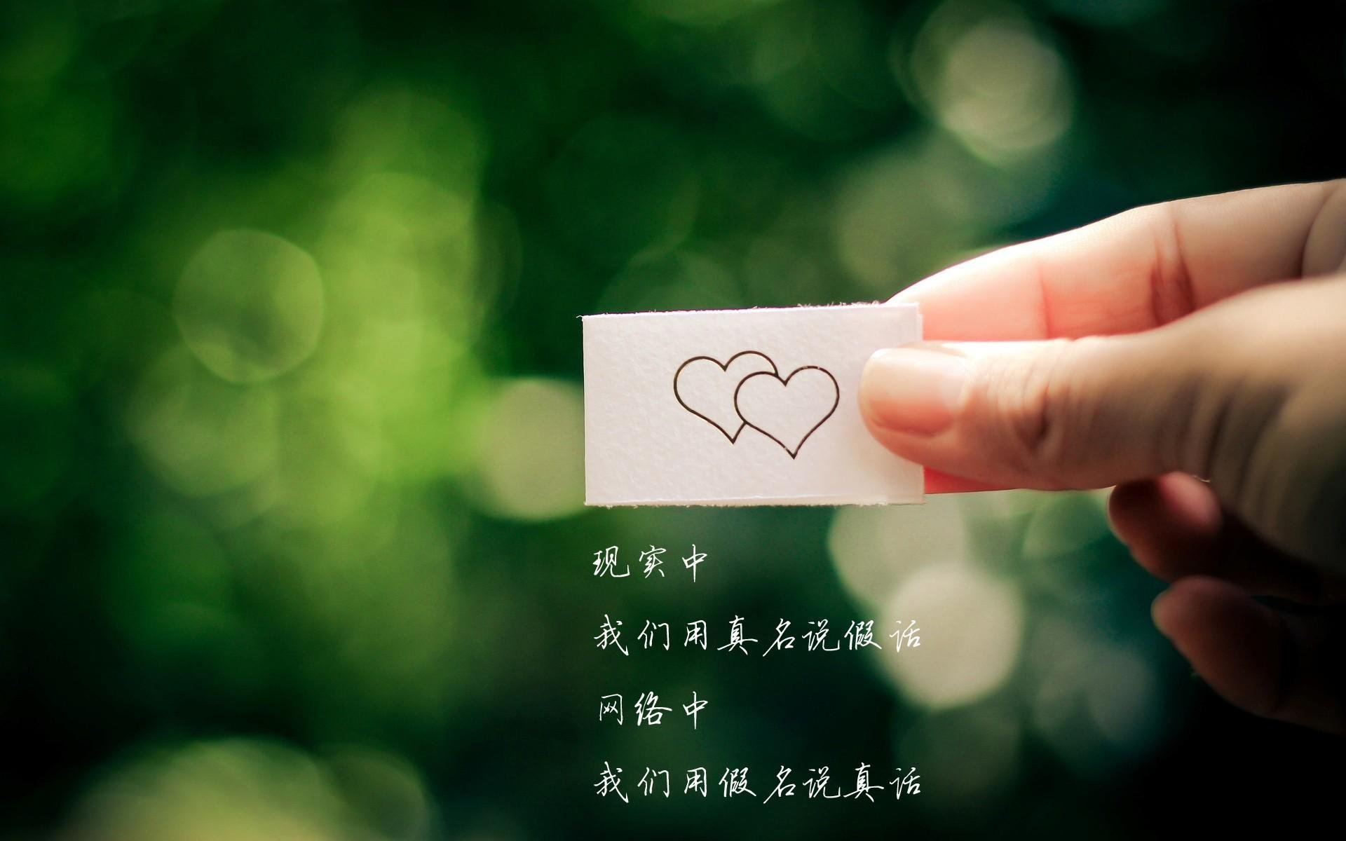 爱尔兰男子橄榄球队备战世界杯,目标明确,爱尔兰nba