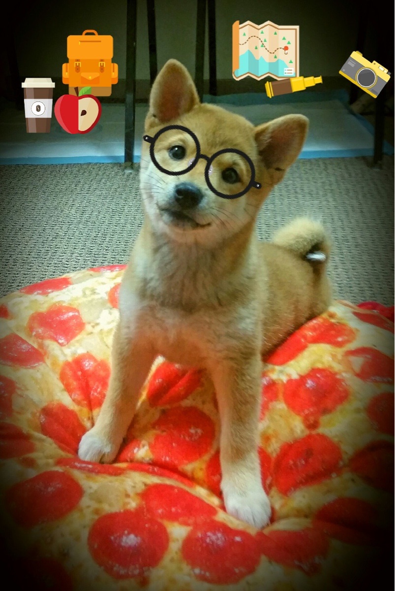 皇马青训持续发力,年轻球员不断涌现