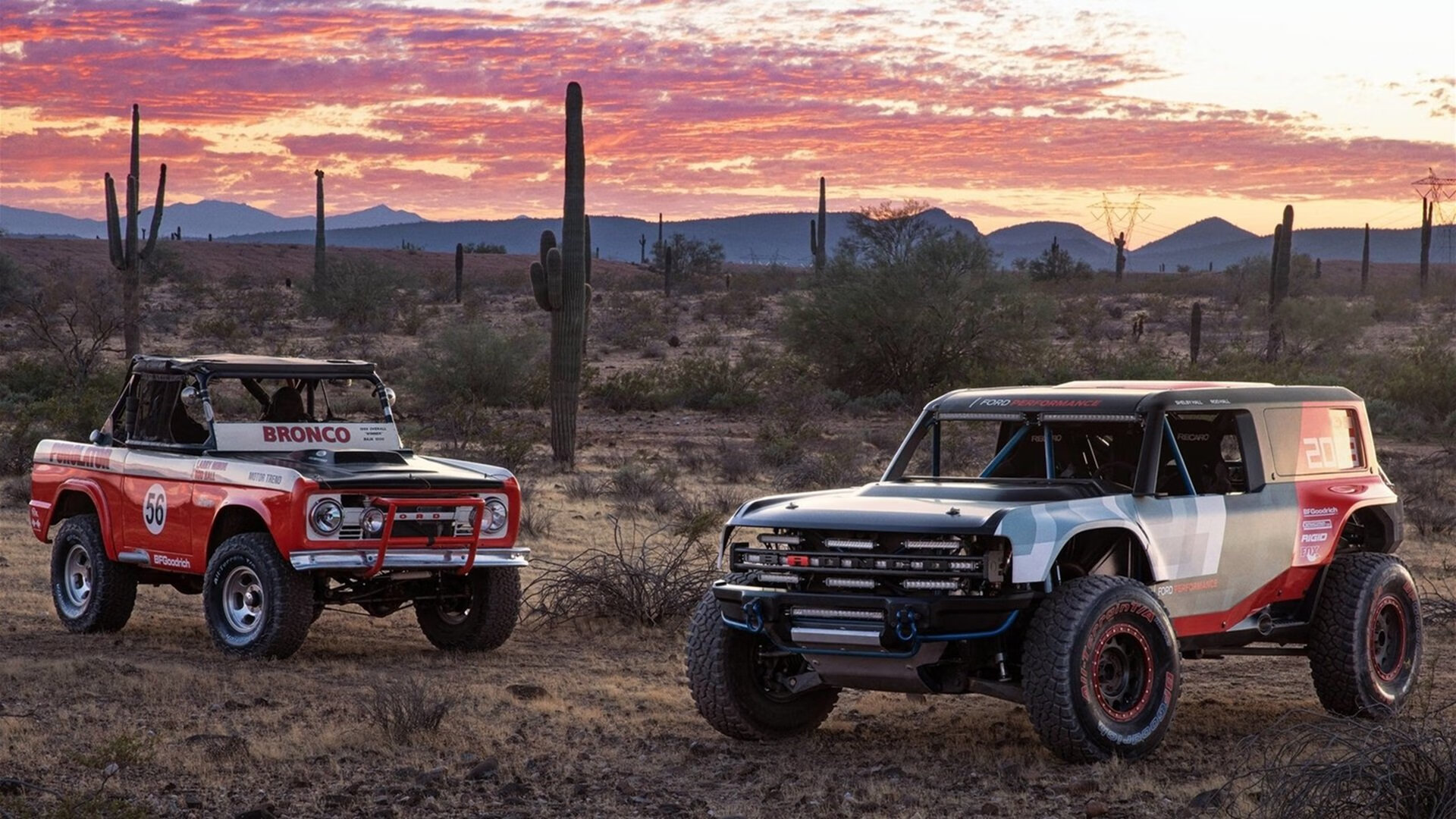 美洲杯明星闪耀夜:激情与荣耀交织!,美洲杯颁奖嘉宾