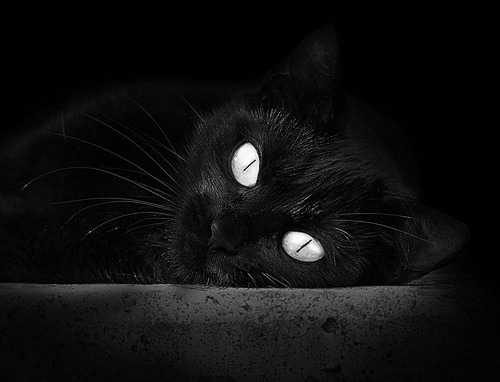 开云体育-绿色环保材料在未来足球场馆中的应用逐步普及，推动低碳发展，什么是绿色环保材料,在园林工程中有何运用