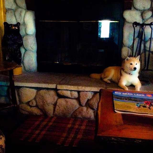 kaiyun中国官方网站-英国男子接力队用实力回应所有质疑，英国接力银牌被取消