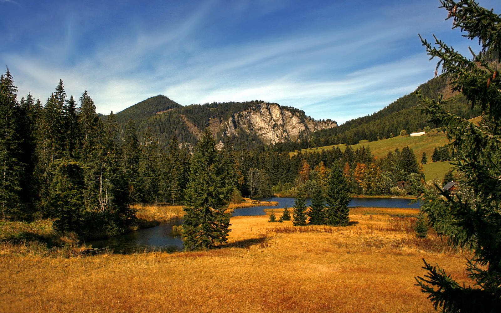 萨摩亚队在太平洋锦标赛中夺冠,体育事业大步向前